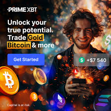 Finanziamento PrimeXBT Guida per Investitori e Trading Finanziamento PrimeXBT Guida per Investitori e Trading
