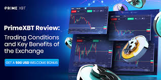 Finanziamento PrimeXBT Guida per Investitori e Trading Finanziamento PrimeXBT Guida per Investitori e Trading