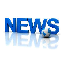 Fundación Tortuga rescata tortugas y les devuelve la libertad 1