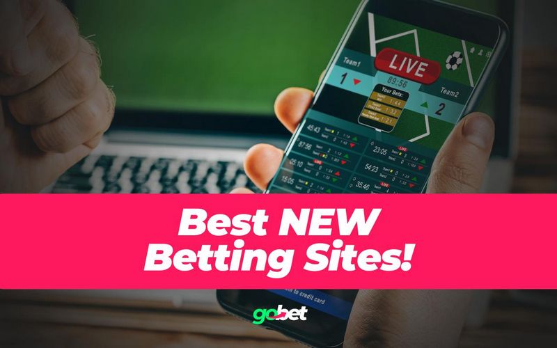 L'Italia riduce i siti di scommesse online da 407 a 52 con il nuovo quadro normativo sul gioco d'azzardo L'Italia riduce i siti di scommesse online da 407 a 52 con il nuovo quadro normativo sul gioco d'azzardo