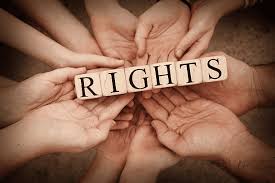 Defending Equality The Role of Legal Teams in Human Rights Advocacy